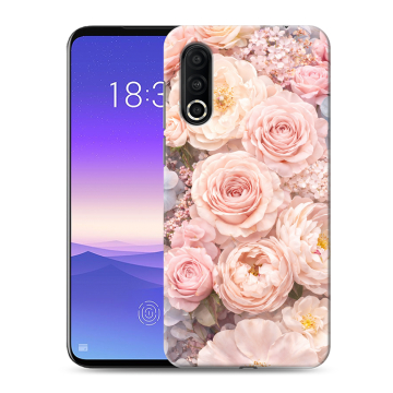 Пластиковый чехол на Meizu 16s Pro с принтом женский
