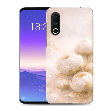 Пластиковый чехол на Meizu 16s Pro с принтом женский