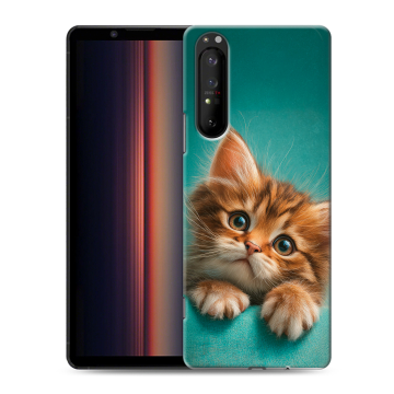 Силиконовый чехол на Sony Xperia 1 II с принтом котенок