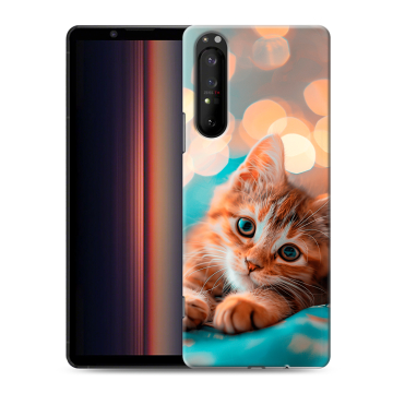 Силиконовый чехол на Sony Xperia 1 II с принтом котик