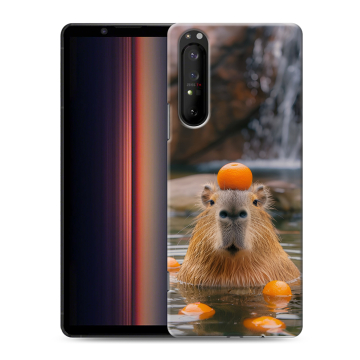 Силиконовый чехол на Sony Xperia 1 II с принтом Капибара с апельсином Силиконовый чехол на Sony Xperia 1 II с принтом Капибара с апельсином