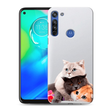 Силиконовый чехол на Motorola Moto G8 с принтом Кошки