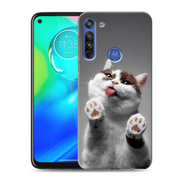 Силиконовый чехол на Motorola Moto G8 с принтом Коты