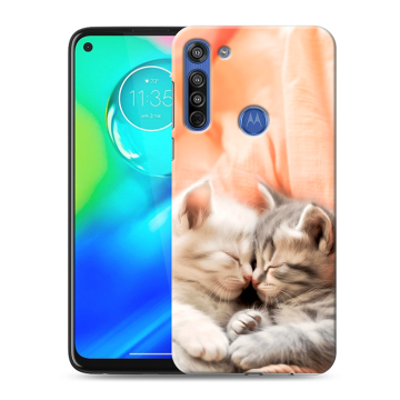 Силиконовый чехол на Motorola Moto G8 с принтом Котята