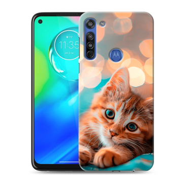 Силиконовый чехол на Motorola Moto G8 с принтом котик