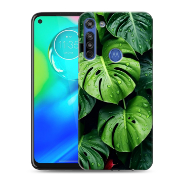 Силиконовый чехол на Motorola Moto G8 с принтом Листья