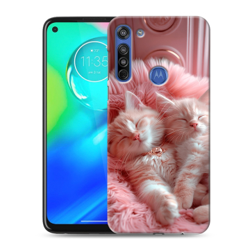 Силиконовый чехол на Motorola Moto G8 с принтом котята котики Силиконовый чехол на Motorola Moto G8 с принтом котята котики