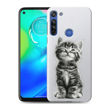 Силиконовый чехол на Motorola Moto G8 с принтом Котенок