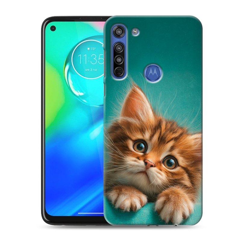 Силиконовый противоударный чехол на Motorola Moto G8 с принтом котенок Силиконовый противоударный чехол на Motorola Moto G8 с принтом котенок