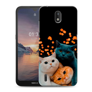 Силиконовый чехол на Nokia 1.3 с принтом Кошки Силиконовый чехол на Nokia 1.3 с принтом Кошки
