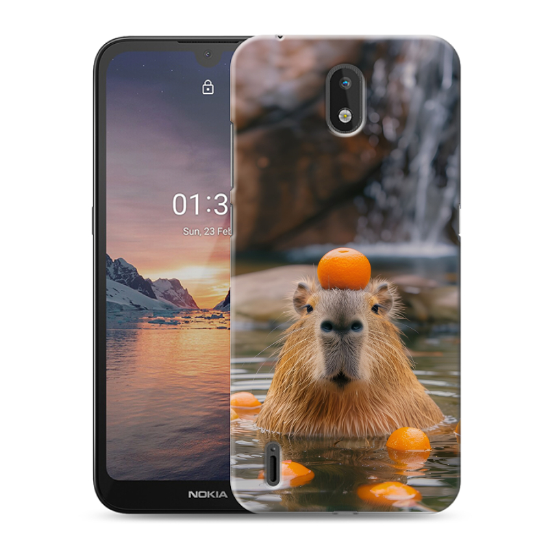 Силиконовый чехол на Nokia 1.3 с принтом Капибара с апельсином Силиконовый чехол на Nokia 1.3 с принтом Капибара с апельсином
