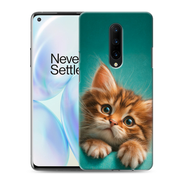 Силиконовый чехол на OnePlus 8 с принтом котенок Силиконовый чехол на OnePlus 8 с принтом котенок