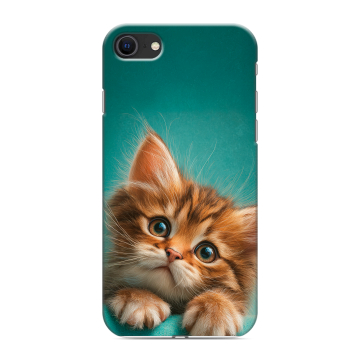 Силиконовый чехол на Iphone SE (2020) с принтом котенок Силиконовый чехол на Iphone SE (2020) с принтом котенок