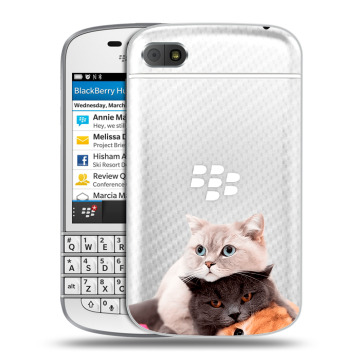Пластиковый чехол на BlackBerry Q10 с принтом Кошки Пластиковый чехол на BlackBerry Q10 с принтом Кошки