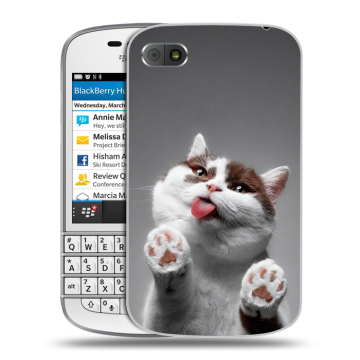 Пластиковый чехол на BlackBerry Q10 с принтом Коты Пластиковый чехол на BlackBerry Q10 с принтом Коты