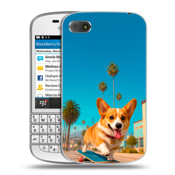 Пластиковый чехол на BlackBerry Q10 с принтом Корги на скейте Пластиковый чехол на BlackBerry Q10 с принтом Корги на скейте