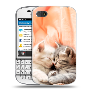 Пластиковый чехол на BlackBerry Q10 с принтом Котята Пластиковый чехол на BlackBerry Q10 с принтом Котята