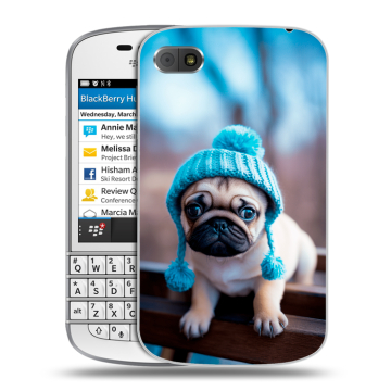 Пластиковый чехол на BlackBerry Q10 с принтом Мопс в шапке Пластиковый чехол на BlackBerry Q10 с принтом Мопс в шапке