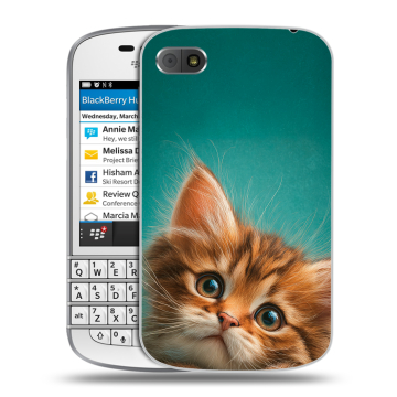 Пластиковый чехол на BlackBerry Q10 с принтом котенок Пластиковый чехол на BlackBerry Q10 с принтом котенок