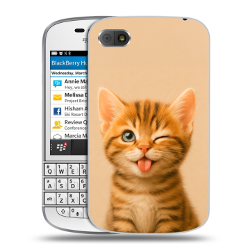 Пластиковый чехол на BlackBerry Q10 с принтом котенок Пластиковый чехол на BlackBerry Q10 с принтом котенок