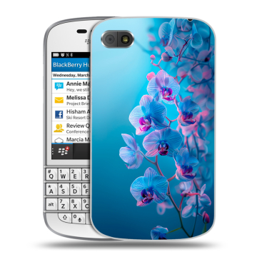 Пластиковый чехол на BlackBerry Q10 с принтом голубые орхидеи Пластиковый чехол на BlackBerry Q10 с принтом голубые орхидеи