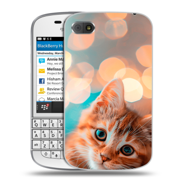 Пластиковый чехол на BlackBerry Q10 с принтом котик Пластиковый чехол на BlackBerry Q10 с принтом котик