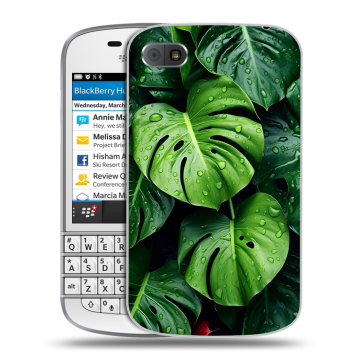 Пластиковый чехол на BlackBerry Q10 с принтом Листья Пластиковый чехол на BlackBerry Q10 с принтом Листья