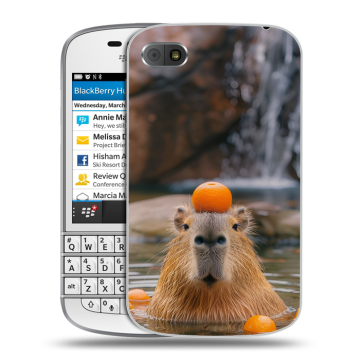 Пластиковый чехол на BlackBerry Q10 с принтом Капибара с апельсином Пластиковый чехол на BlackBerry Q10 с принтом Капибара с апельсином