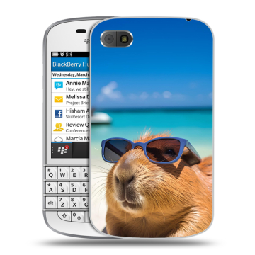 Пластиковый чехол на BlackBerry Q10 с принтом Капибара Пластиковый чехол на BlackBerry Q10 с принтом Капибара