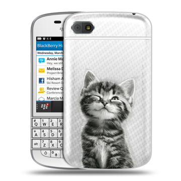 Пластиковый чехол на BlackBerry Q10 с принтом Котенок Пластиковый чехол на BlackBerry Q10 с принтом Котенок