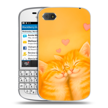 Пластиковый чехол на BlackBerry Q10 с принтом Милые котята Пластиковый чехол на BlackBerry Q10 с принтом Милые котята