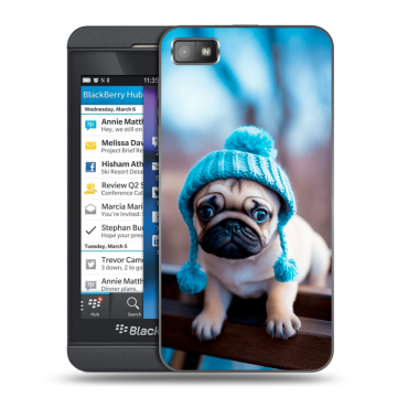 Пластиковый чехол на BlackBerry Z10 с принтом Мопс в шапке Пластиковый чехол на BlackBerry Z10 с принтом Мопс в шапке