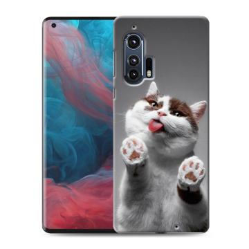 Силиконовый чехол на Motorola Edge Plus с принтом Коты