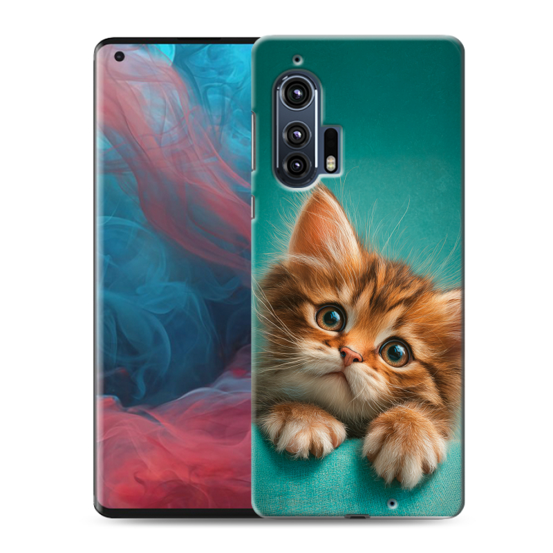 Силиконовый чехол на Motorola Edge Plus с принтом котенок Силиконовый чехол на Motorola Edge Plus с принтом котенок