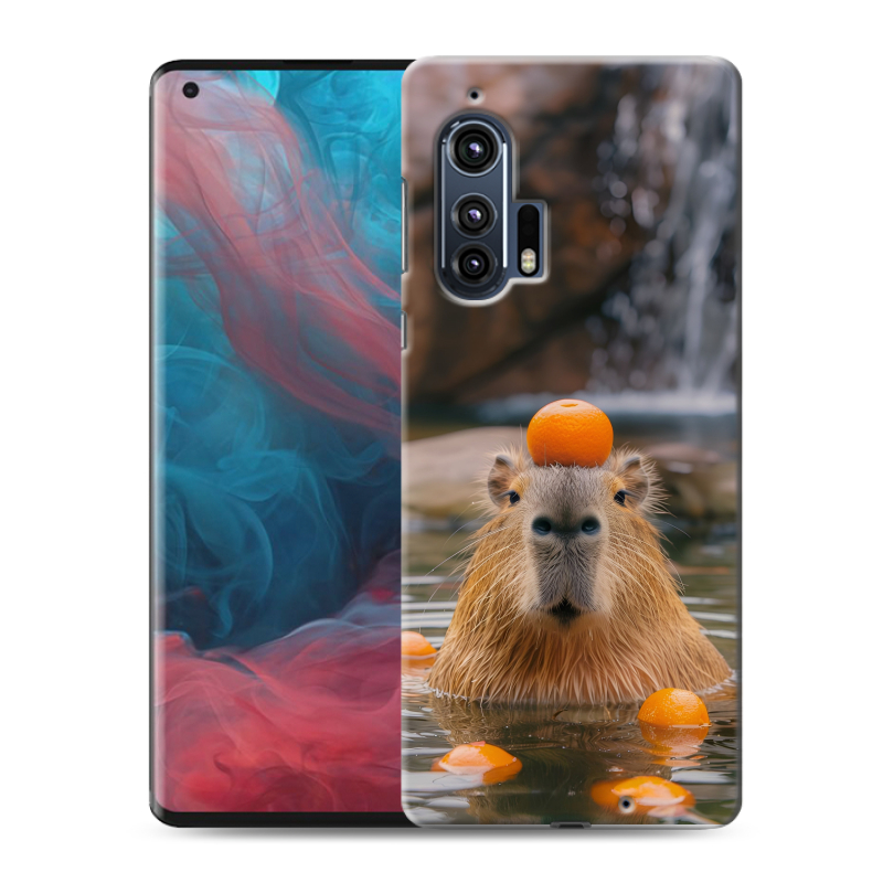 Силиконовый чехол на Motorola Edge Plus с принтом Капибара с апельсином Силиконовый чехол на Motorola Edge Plus с принтом Капибара с апельсином