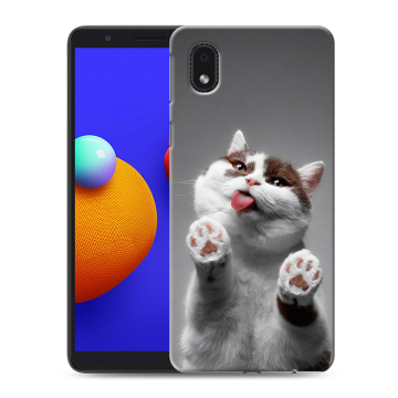 Силиконовый чехол на Samsung Galaxy A01 Core с принтом Коты Силиконовый чехол на Samsung Galaxy A01 Core с принтом Коты