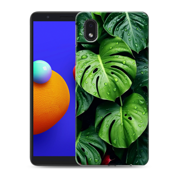 Силиконовый чехол на Samsung Galaxy A01 Core с принтом Листья Силиконовый чехол на Samsung Galaxy A01 Core с принтом Листья