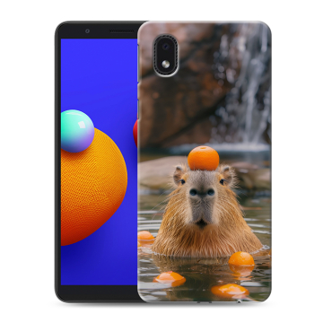 Силиконовый чехол на Samsung Galaxy A01 Core с принтом Капибара с апельсином Силиконовый чехол на Samsung Galaxy A01 Core с принтом Капибара с апельсином