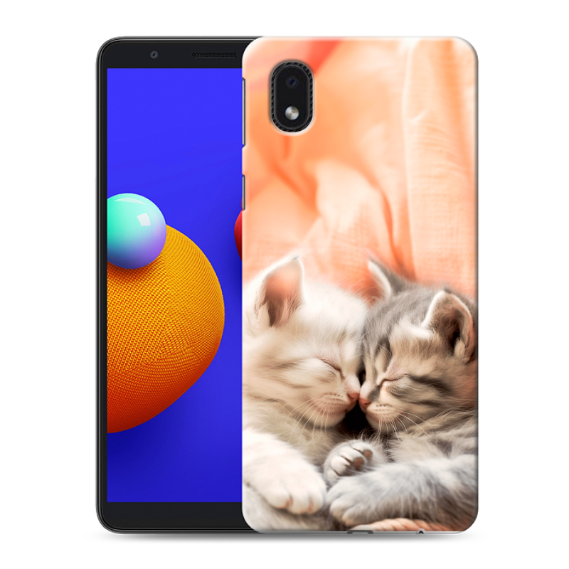 Силиконовый чехол на Samsung Galaxy A01 Core с принтом Котята Силиконовый чехол на Samsung Galaxy A01 Core с принтом Котята