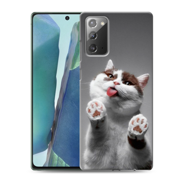 Силиконовый чехол на Samsung Galaxy Note 20 с принтом Коты Силиконовый чехол на Samsung Galaxy Note 20 с принтом Коты