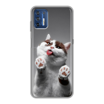 Силиконовый чехол на Motorola Moto G9 Plus с принтом Коты
