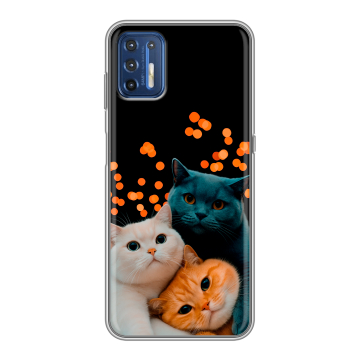 Силиконовый чехол на Motorola Moto G9 Plus с принтом Кошки