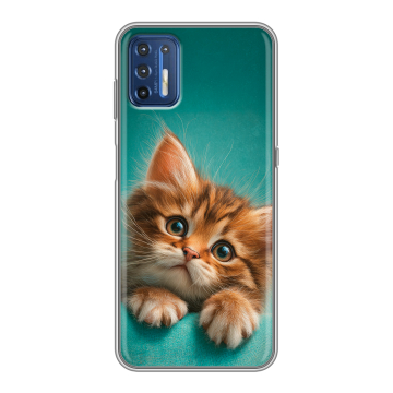 Силиконовый чехол на Motorola Moto G9 Plus с принтом котенок
