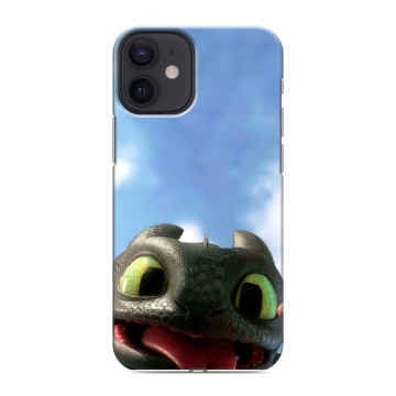 Силиконовый чехол на Iphone 12 Mini с принтом Как приручить дракона Силиконовый чехол на Iphone 12 Mini с принтом Как приручить дракона