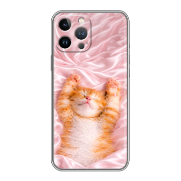 Силиконовый чехол на Iphone 12 Pro Max с принтом женский Силиконовый чехол на Iphone 12 Pro Max с принтом женский