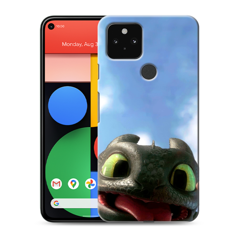 Пластиковый чехол на Google Pixel 5 с принтом Как приручить дракона Пластиковый чехол на Google Pixel 5 с принтом Как приручить дракона