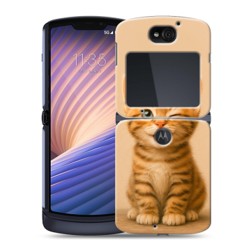 Пластиковый чехол на Motorola Razr 5G с принтом котенок Пластиковый чехол на Motorola Razr 5G с принтом котенок