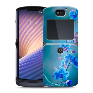 Пластиковый чехол на Motorola Razr 5G с принтом Голубые цветы Пластиковый чехол на Motorola Razr 5G с принтом Голубые цветы