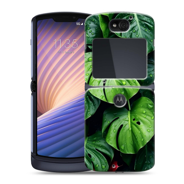 Пластиковый чехол на Motorola Razr 5G с принтом Листья Пластиковый чехол на Motorola Razr 5G с принтом Листья