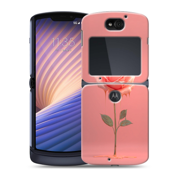 Пластиковый чехол на Motorola Razr 5G с принтом Розовая роза